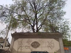 -柳沟豆腐宴69号福豆堂