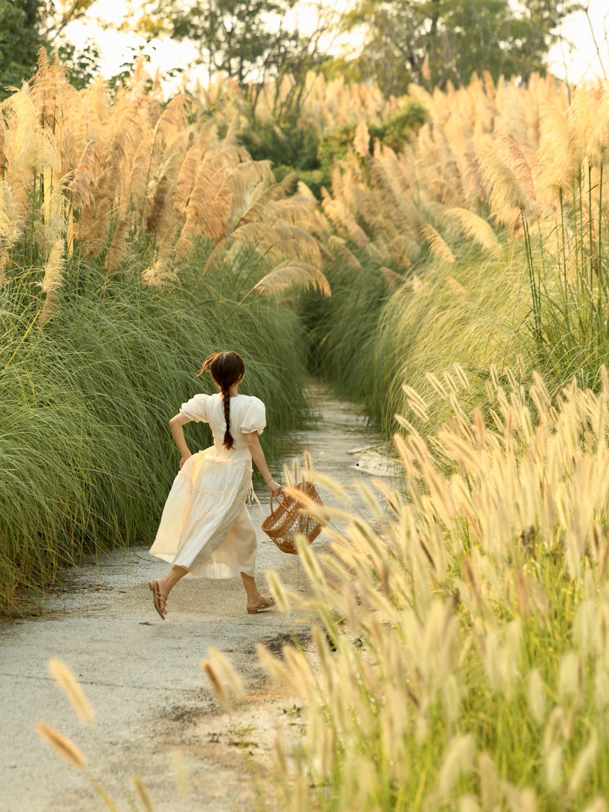 小众芦苇荡!开始期待成都的秋天了