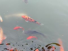 -国色天乡三期陆地乐园