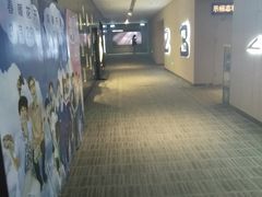 -汉阳天河电影城(王家湾店)