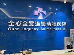-全心全意连锁动物医院·微创中心·内科急重症·心脏专科(丰管路店)