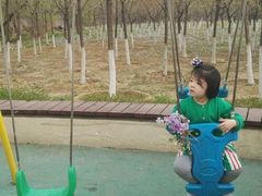 -永定河休闲森林公园