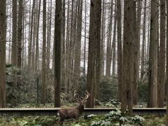 -上海怡沁园度假酒店