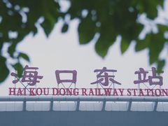 -海口东站