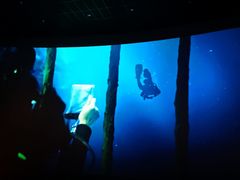 -佳兆业国际影城(惠州IMAX店)