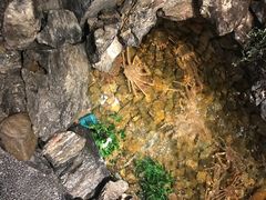 -綱元·海鲜豆捞(明州里店)
