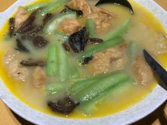 -素虎小呆鸟(西二旗店)