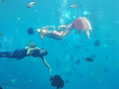 -瑞德姆美人鱼海底演艺主题餐厅(亚龙湾店)