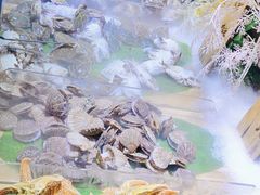 -聚盛源蒸汽海鲜火锅烤肉自助(巨川金海岸购物广场店)