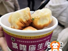 鲜肉煎包-城隍庙生煎(芙蓉街店)