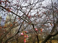 -白塘生态植物园
