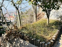 -信号山公园