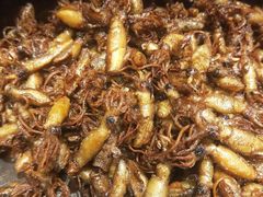 -日丰园海肠水饺·老字号大连海鲜(和平广场店)
