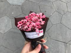 一楼卖的花-迦南·甜品蛋糕(传媒店)