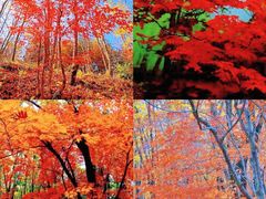 -五女山景区
