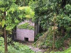 -都江堰中华大熊猫苑