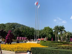 -东南花都花博园