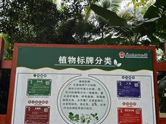 -广西壮族自治区药用植物园