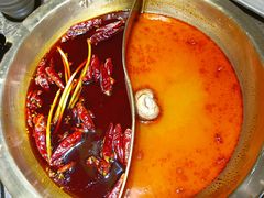 番茄鸳鸯-小龙坎火锅(总店)