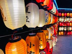 -梁鸿国家湿地公园