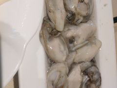 -龙福成肥牛火锅(文昌店)