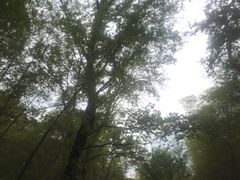 -紫金山天文台