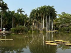 -中国科学院西双版纳热带植物园