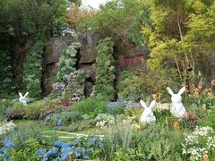 -深圳仙湖植物园