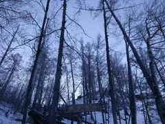 -北极村旅游风景区