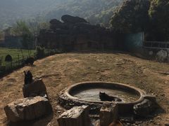 -无锡动物园·太湖欢乐园