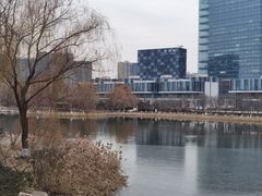 -大兴滨河森林公园