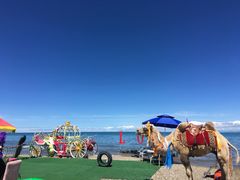 -青海湖国家重点风景名胜区