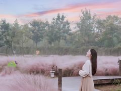 -南京市无想山景区