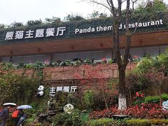 -熊猫主题餐厅
