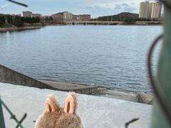 -丁家河公园