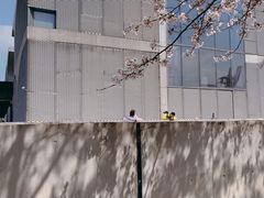 -龙美术馆(西岸馆)