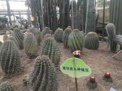 -南山植物园