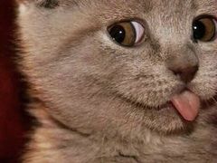 -百信宠物医院(东升街店)