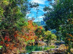 -马峦山郊野公园
