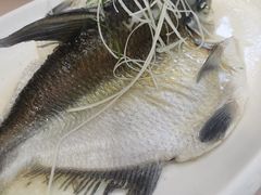 -四海酒家生态粤菜