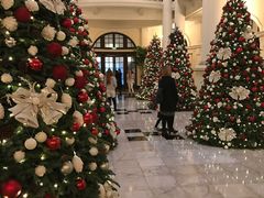 -LONG BAR 廊吧(外滩华尔道夫酒店)