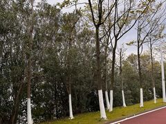 -艾溪湖湿地公园