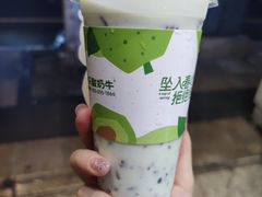 -一只酸奶牛(春熙路店)