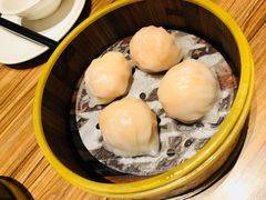 粤港虾饺皇-粤港餐厅(禹州商业广场店)