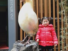 -琬苑鸽庄·川粤融合菜(解放碑总店)