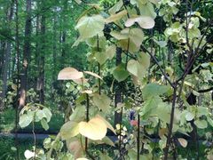 iphone_upload_pic-上海怡沁园度假酒店