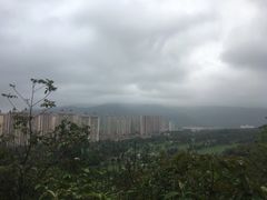 -罗三妹山