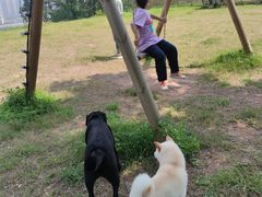 -趣多多宠物公园·宠物训犬学校·宠物寄养