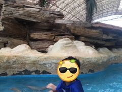 -中国死海旅游度假区