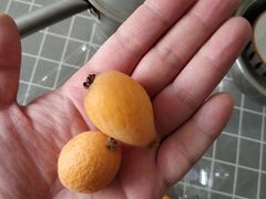 -乐乐鲜果(解放南路店)